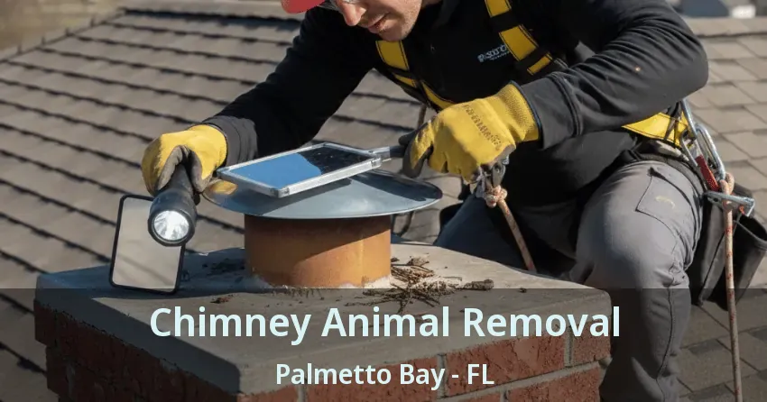 Chimney Animal Removal Palmetto Bay - FL