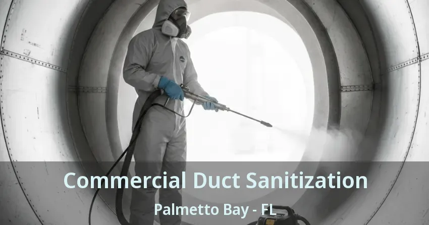 Commercial Duct Sanitization Palmetto Bay - FL
