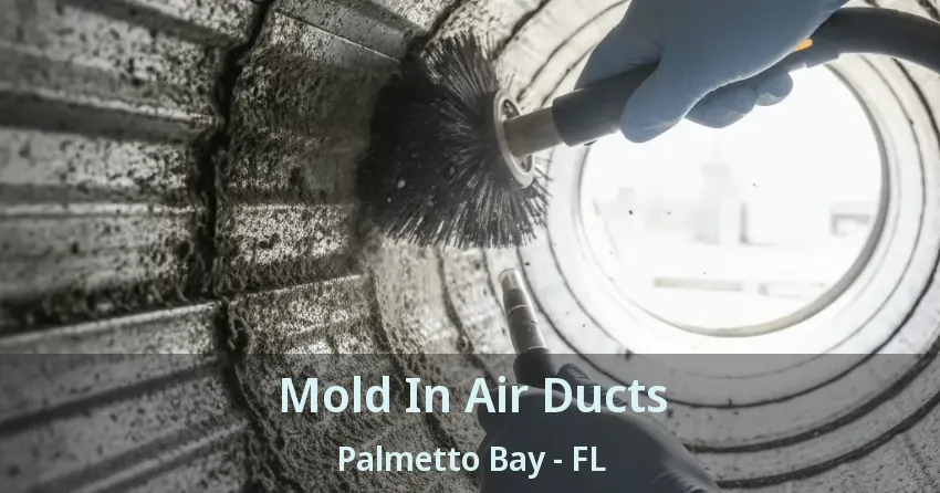 Mold In Air Ducts Palmetto Bay - FL