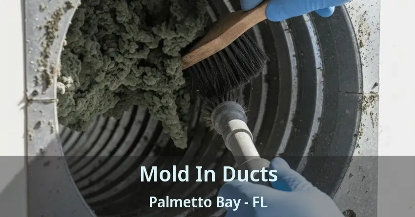Mold In Ducts Palmetto Bay - FL Mold In Ducts Palmetto Bay - FL